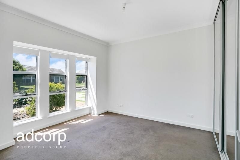 7 Abelia Avenue Flinders Park SA, Flinders Park - Thumbnail 8
