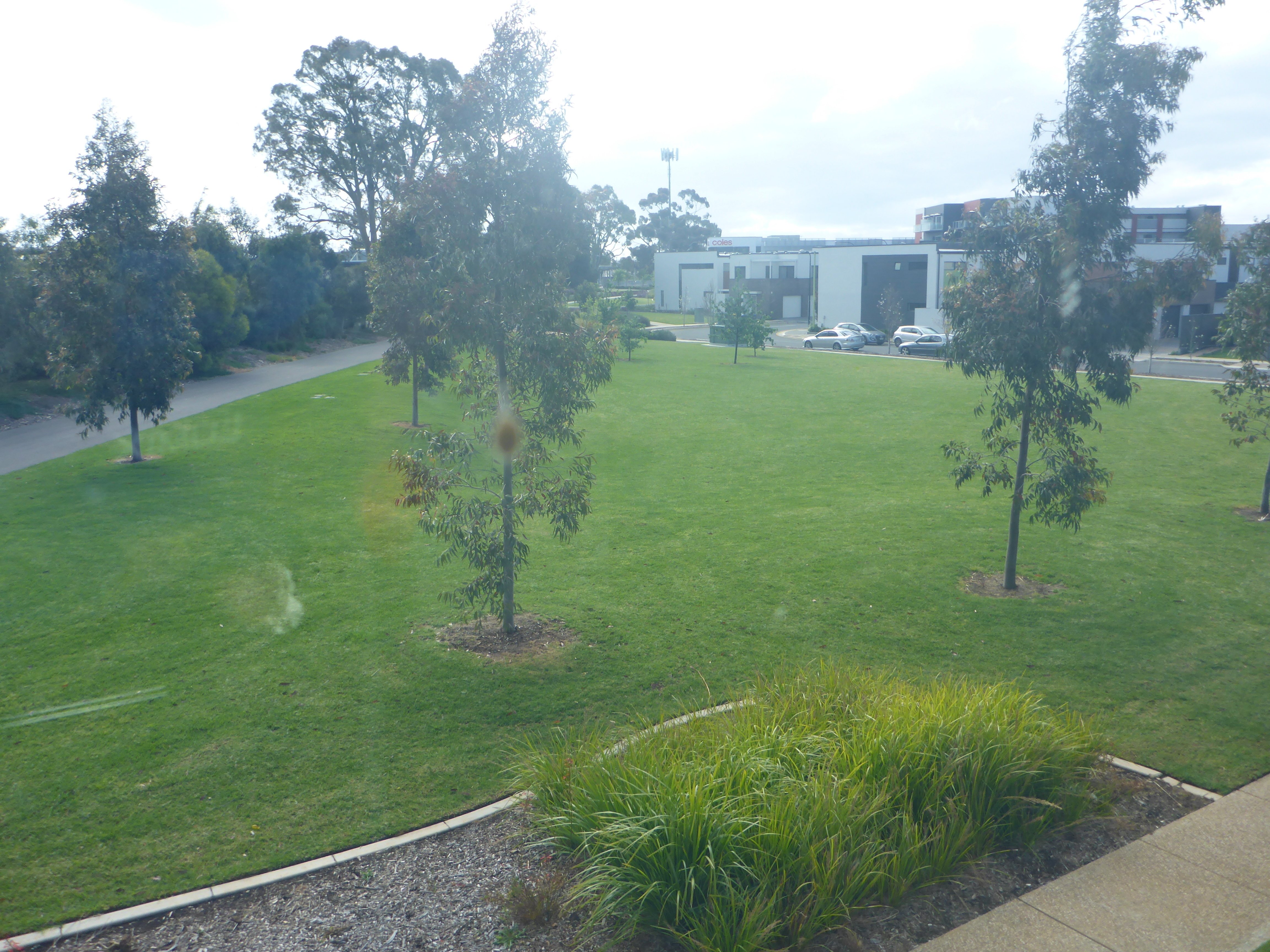 12 Apprentice Street St Clair 5011