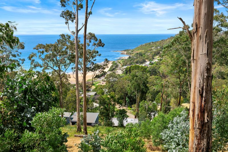 16 Karingal Drive, Wye River, VIC, Wye River - Thumbnail 5