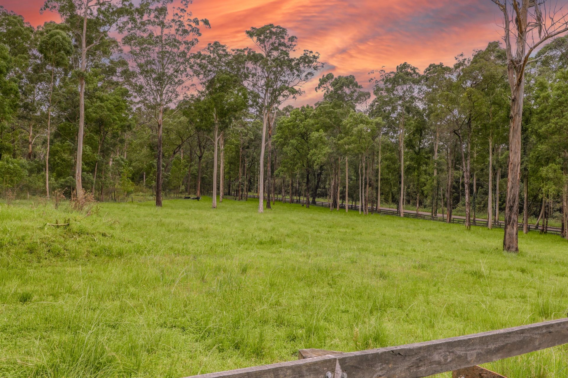 Real Estate For Sale 1436 Mandalong Road Dooralong , NSW