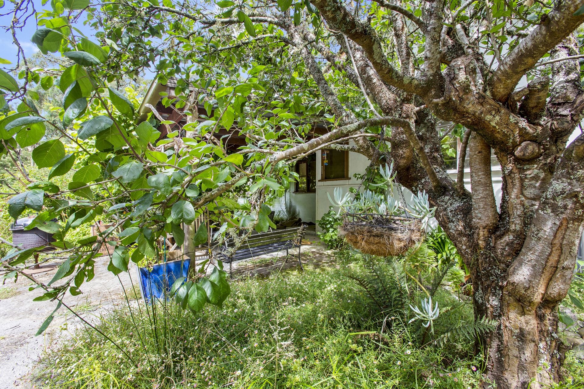 605 Barham River Road, Apollo Bay - Thumbnail 3