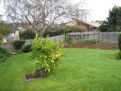 3
 
 
 
  
 
 
 1
 
 
 
  
 
 
 1
 
 
 
 
 
 
 
 6 Wingara Court, DEVONPORT TAS 7310, Devonport - Thumbnail 3