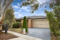 12 Eucalypt Court, Drouin VIC