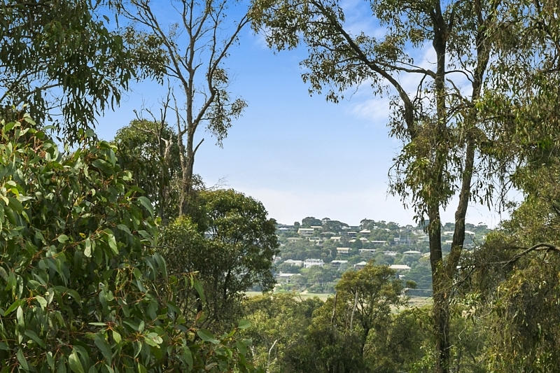 Lot 45 Bimbadeen Drive, Fairhaven, VIC, Fairhaven - Thumbnail 4