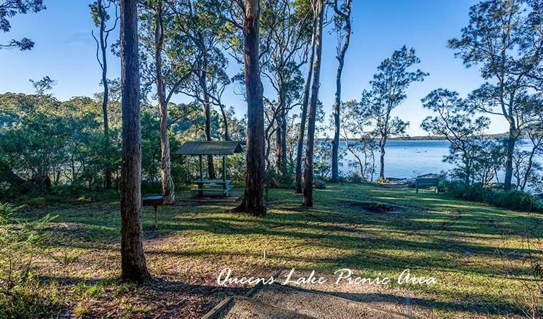 Lot 271 Corrigans Lane, LOGANS CROSSING NSW 2439