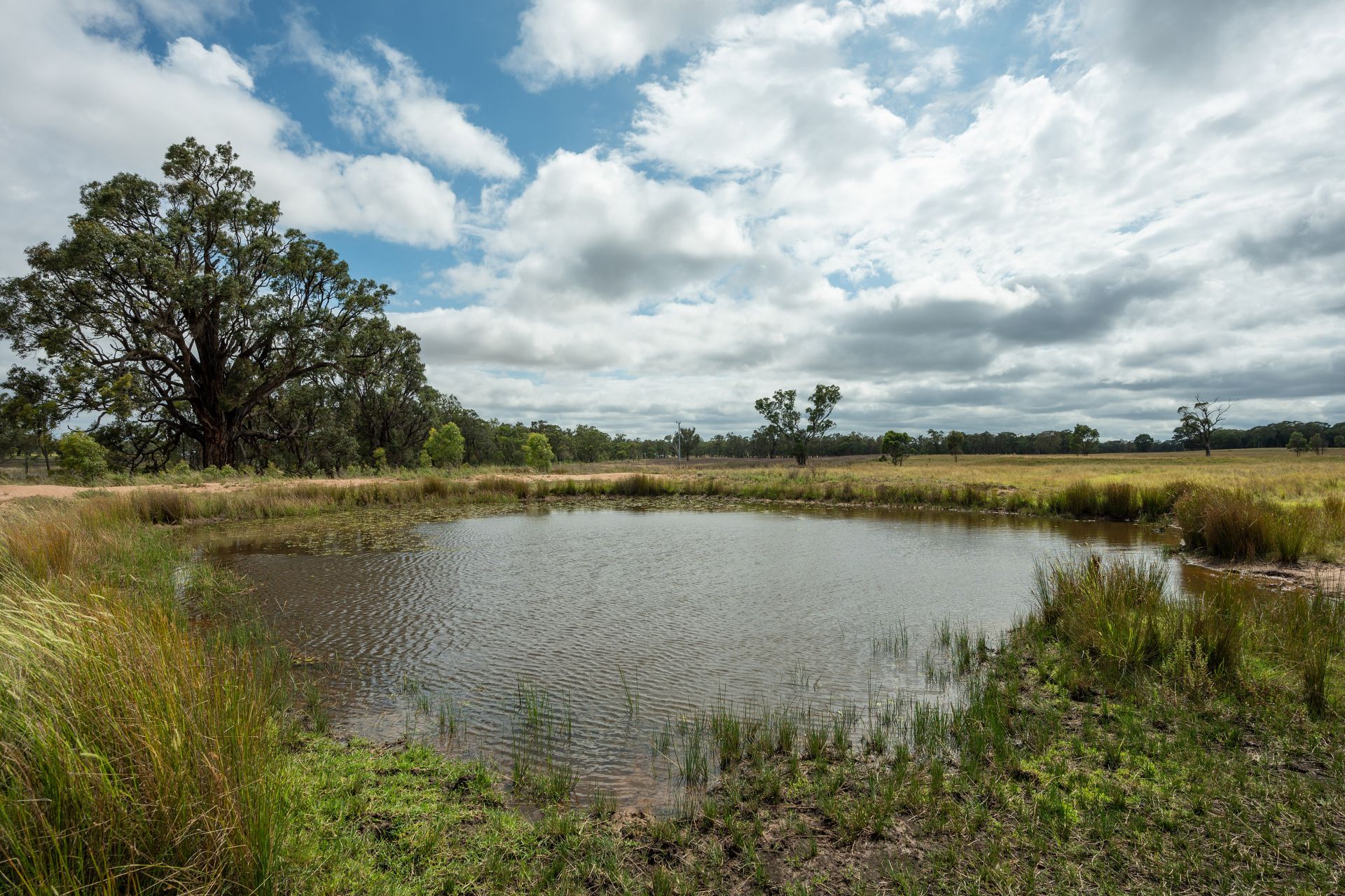 63 Wyoming Lane, Gulgong The Property Shop