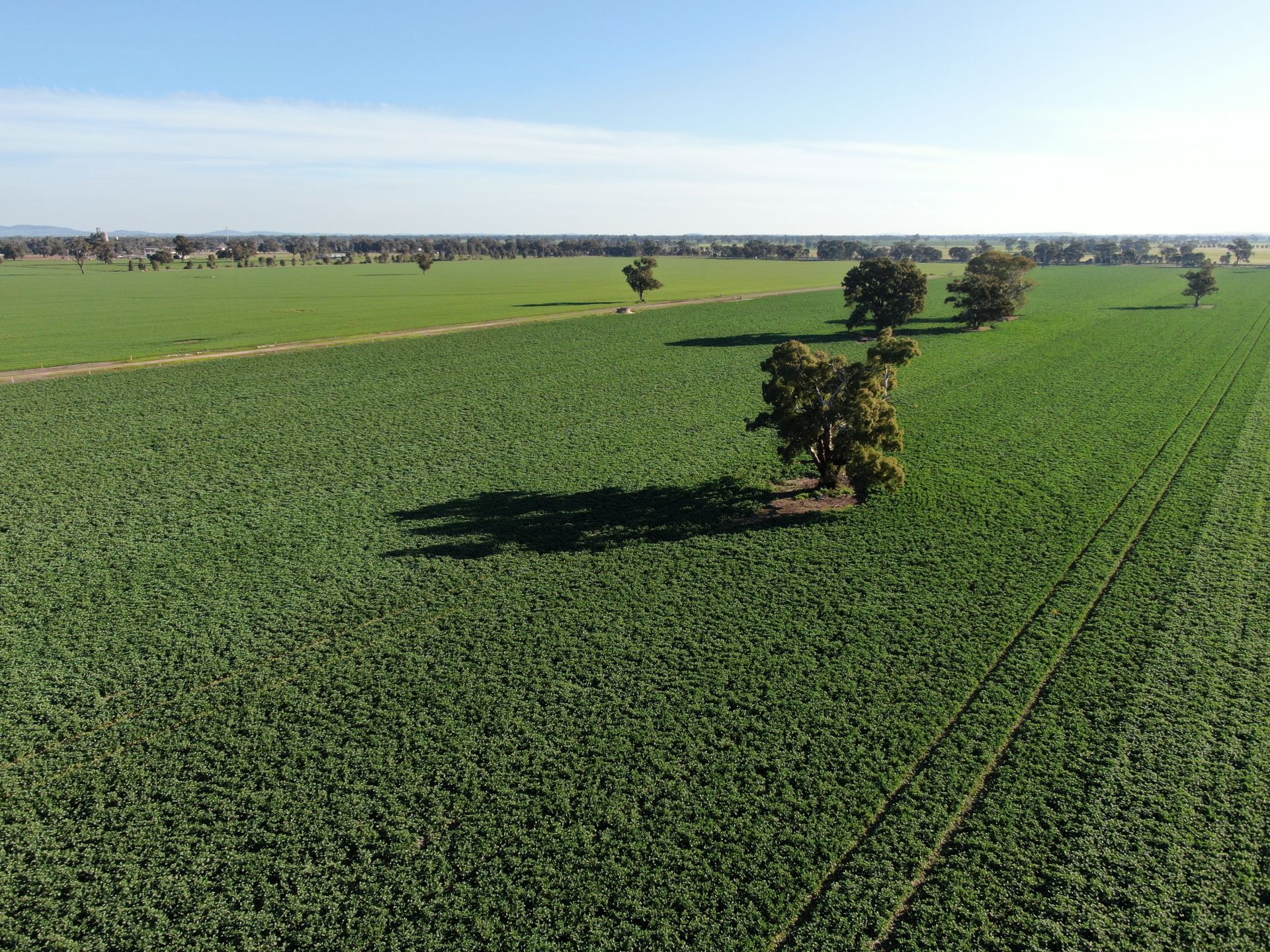 Olympic Highway, Culcairn, Culcairn - Thumbnail 8