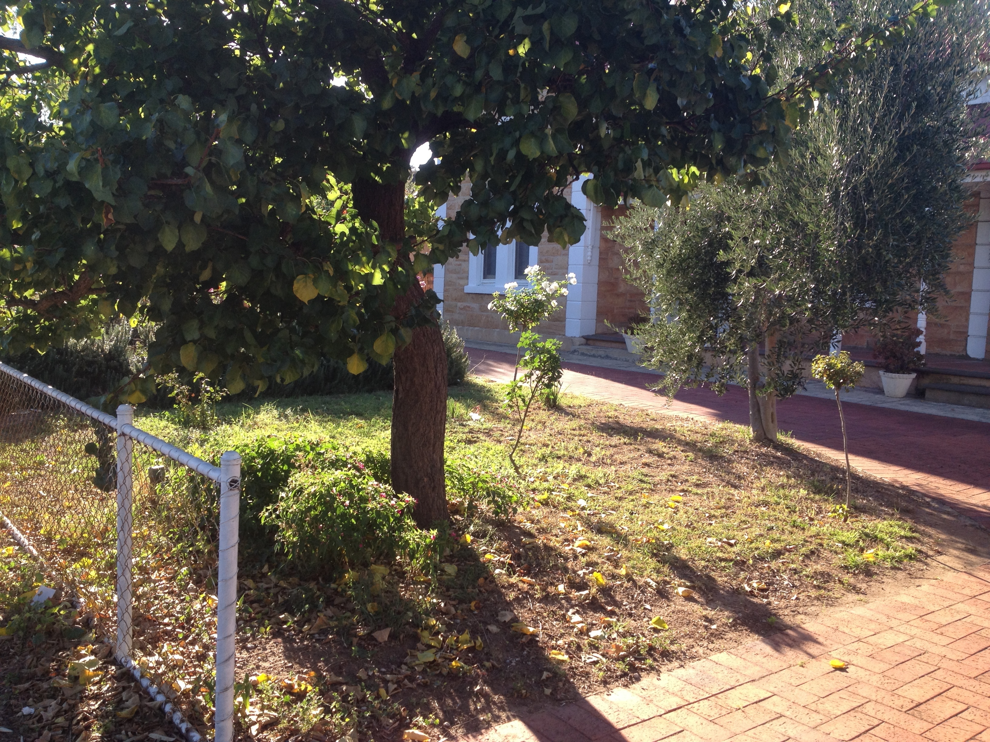 2/686 Lower North East Road Paradise 5075