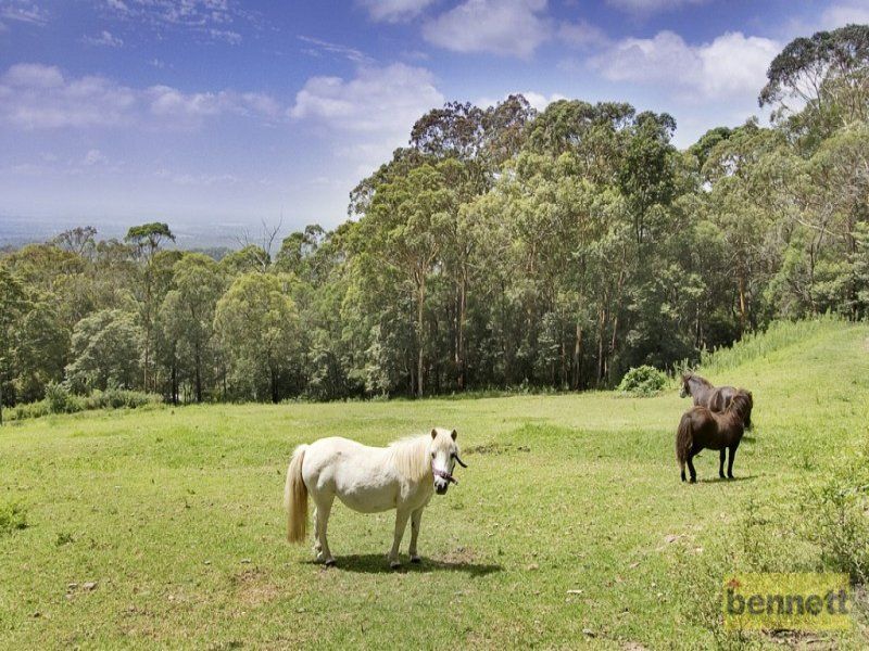 47 Grandview Lane, Bowen Mountain - Thumbnail 8