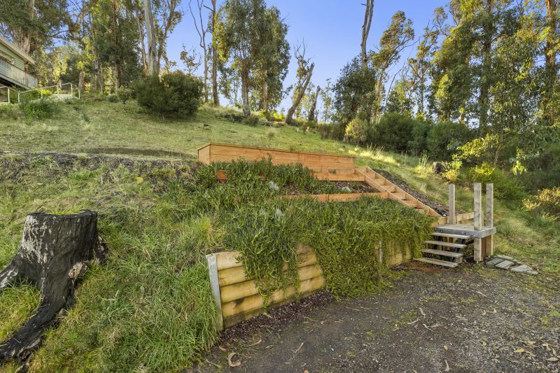 61 Karingal Drive, Wye River, VIC, Wye River - Thumbnail 5