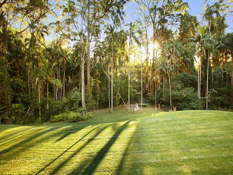 94 Vise Road Buderim QLD, Buderim - Thumbnail 6