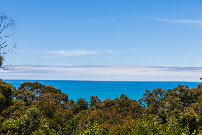 25 Grove Road, Lorne, VIC, Lorne - Thumbnail 2