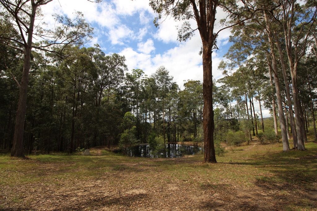 317 Smiths Creek Rd, KUNDABUNG NSW 2441