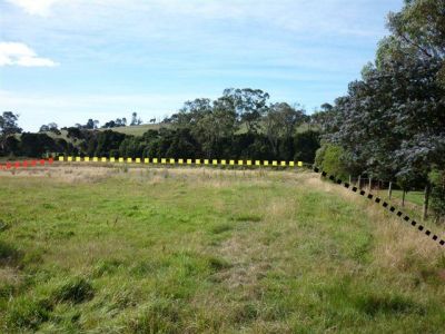 163A Winspears Road, EAST DEVONPORT, East Devonport - Thumbnail 4
