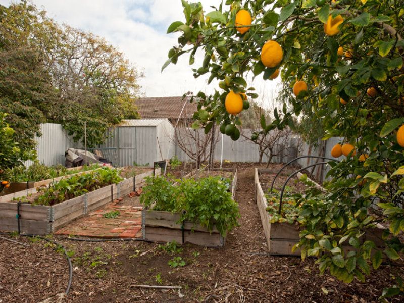 59 May Terrace Ottoway 5013