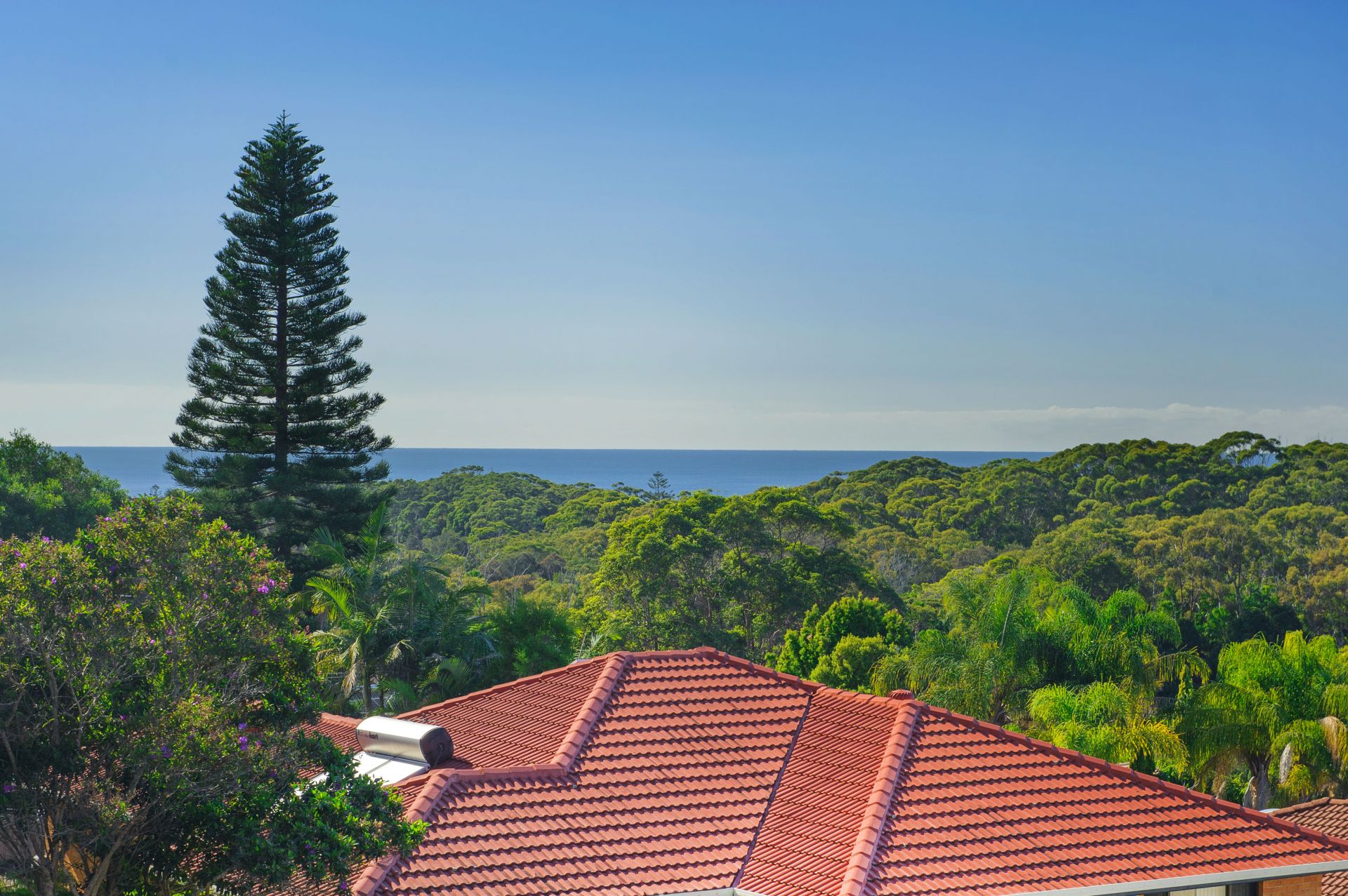 14 Oleander Avenue Port Macquarie NSW, Port Macquarie - Thumbnail 3
