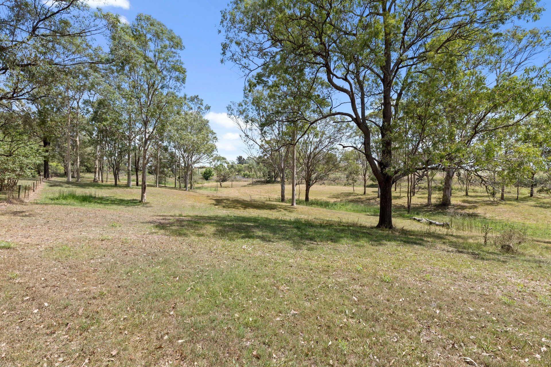 82 Maitland Vale Road, BOLWARRA HEIGHTS Peters Real Estate