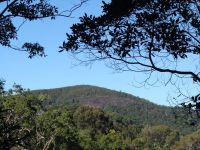 15 Ella-Marie Drive COOLUM BEACH QLD, Coolum Beach - Thumbnail 8