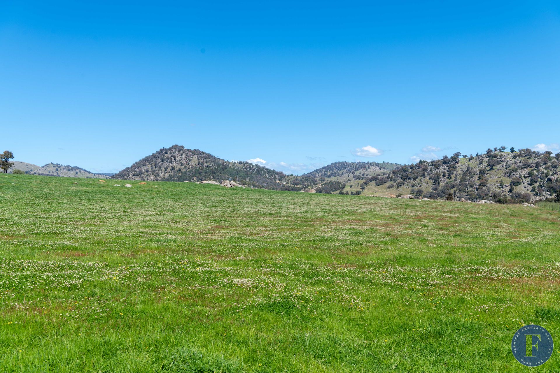 185 Trout Farm Road, Wyangala NSW, Wyangala - Thumbnail 4