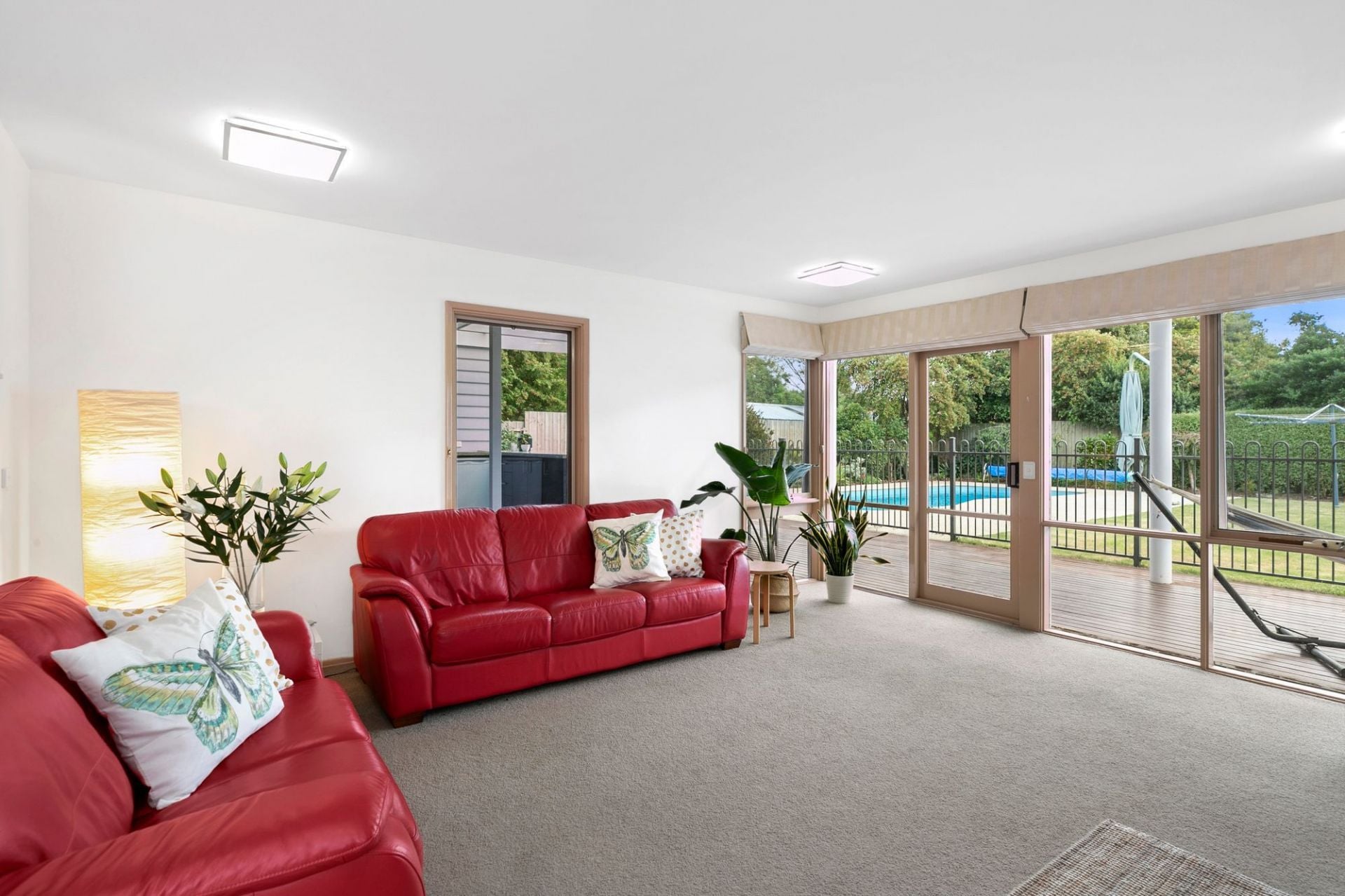 20 Callistemon Court Ocean Grove VIC, Ocean Grove - Thumbnail 4