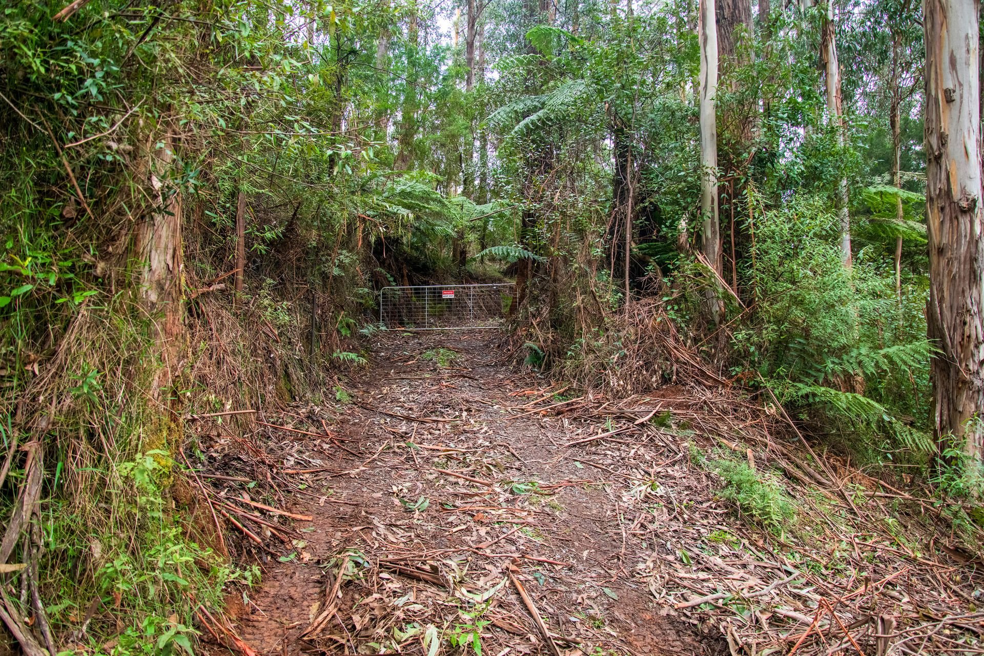 1/ Mount Baw Baw Tourist Road, Icy Creek OBrien Real Estate