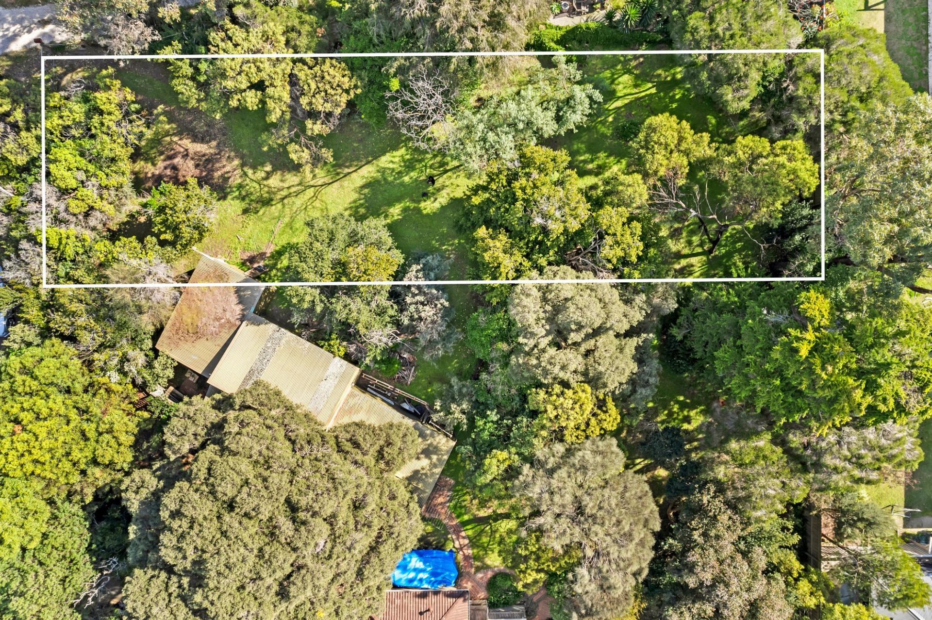 22 Hogan Drive Barwon Heads VIC, Barwon Heads - Thumbnail 3