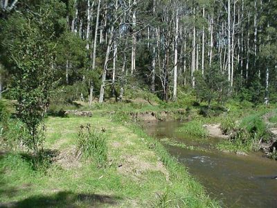 35 Penzance Place, ACACIA HILLS, Acacia Hills - Thumbnail 4