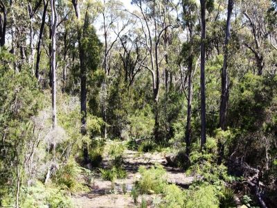 Lot 18 Port Sorell Main Road, PORT SORELL, Port Sorell - Thumbnail 2