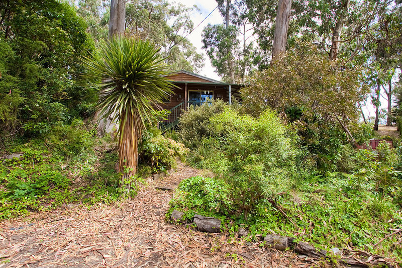 1  Ferny Grove, Kennett River, VIC, Kennett River - Thumbnail 3