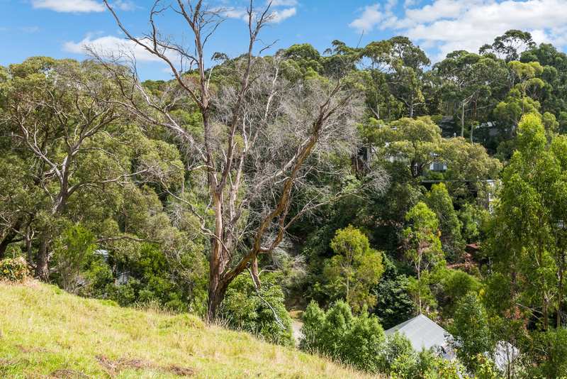 2/28 Clissold Street, Lorne, VIC, Lorne - Thumbnail 3
