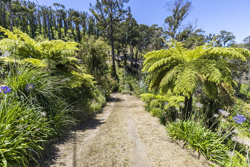 24 Karingal Drive, Wye River, VIC, Wye River - Thumbnail 3