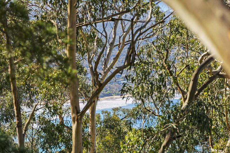 19 Alsop Street, Lorne, VIC, Lorne - Thumbnail 8