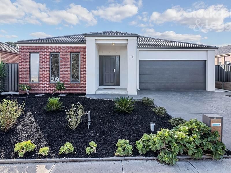 12 Haig Street MERNDA, Mernda - Thumbnail 3