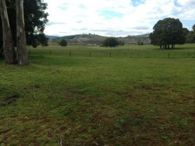 59 Kimberley Road, Railton, Railton - Thumbnail 4