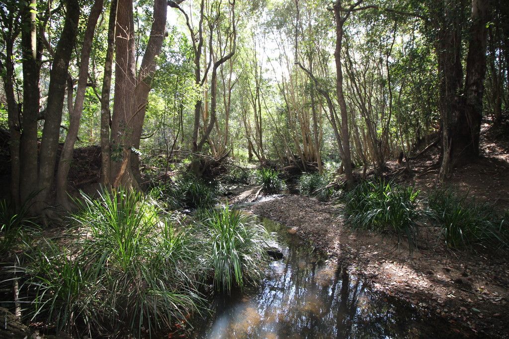 449 Bril Bril Road, ROLLANDS PLAINS NSW 2441