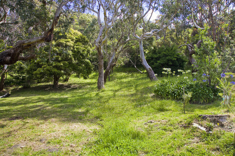 2/3 Great Ocean Road, Wye River, VIC, Wye River - Thumbnail 8
