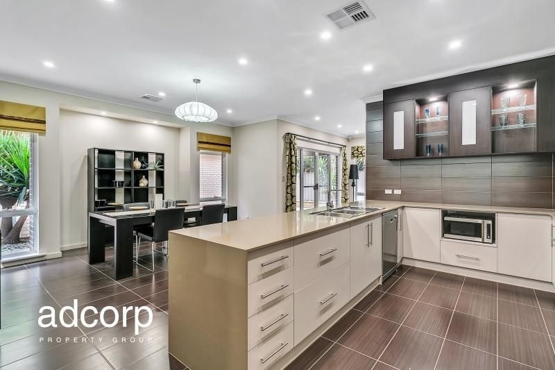 28 Rapid Avenue Lightsview SA, Lightsview - Thumbnail 5