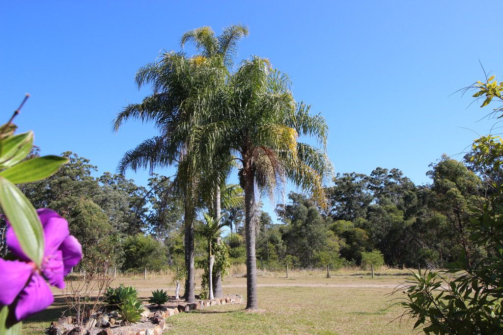 114 Crowther Drive, KUNDABUNG NSW 2441
