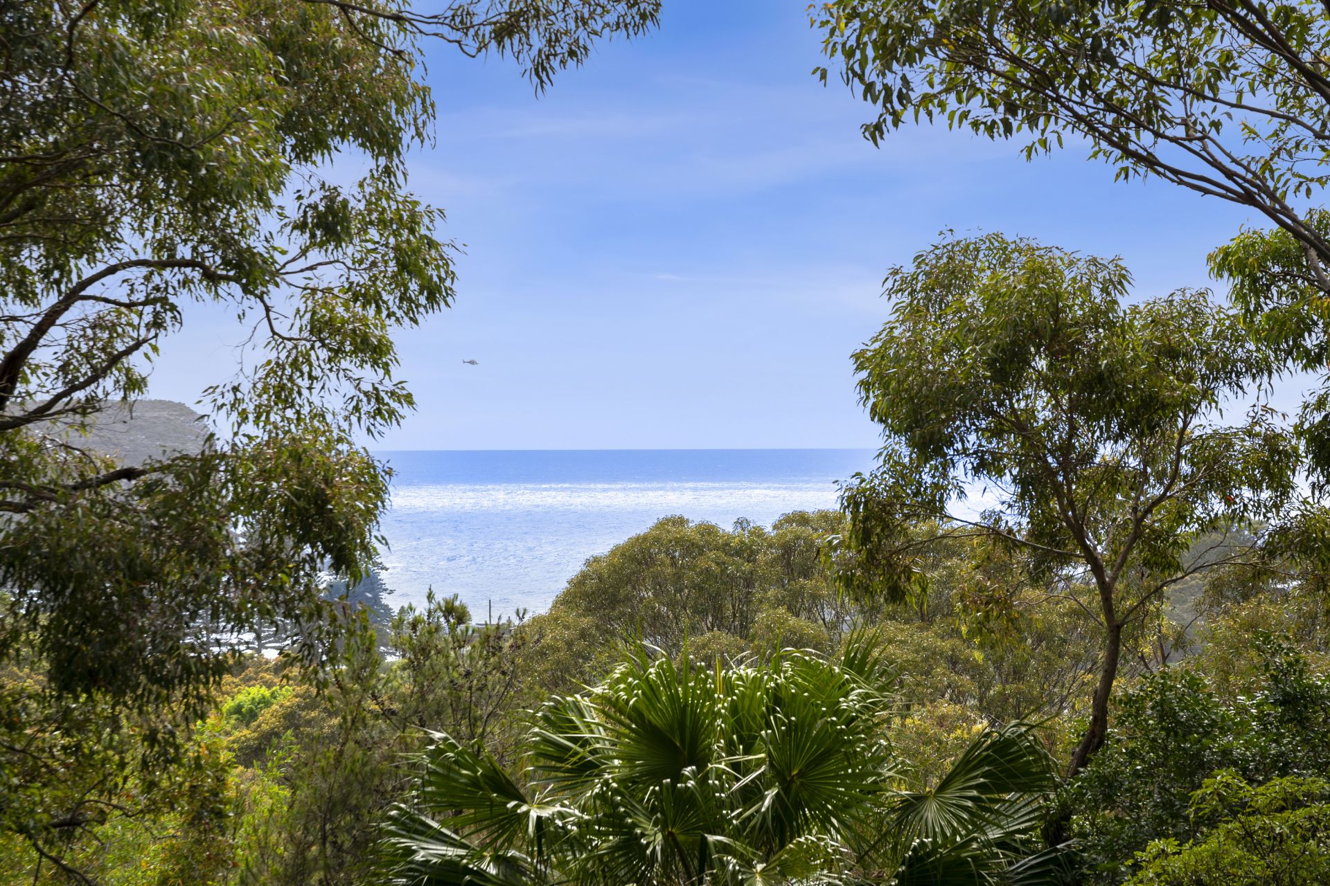26 Palmgrove Road Avalon Beach NSW, Avalon Beach - Thumbnail 4