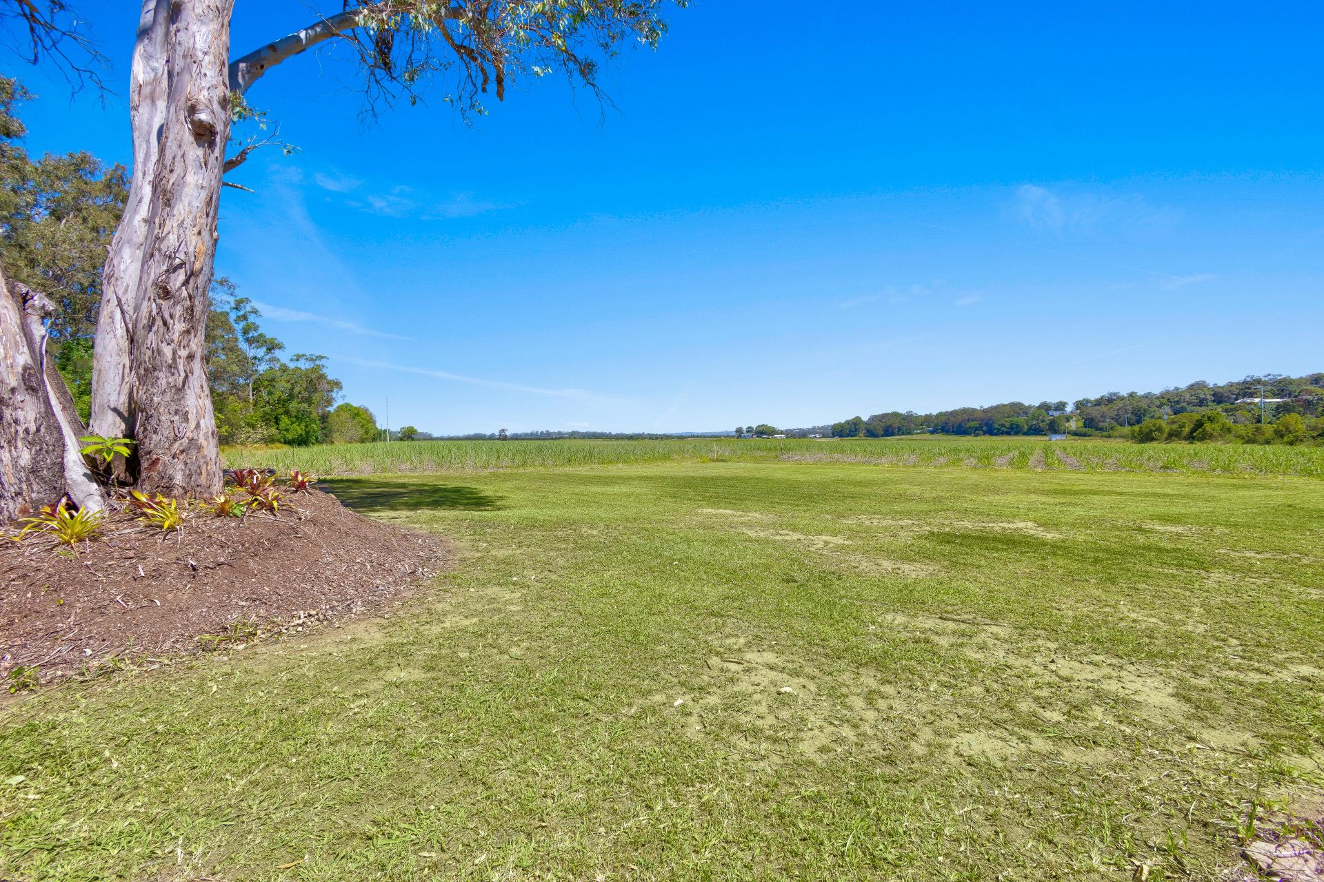 68 River Store Road Maroochy River QLD, Maroochy River - Thumbnail 8