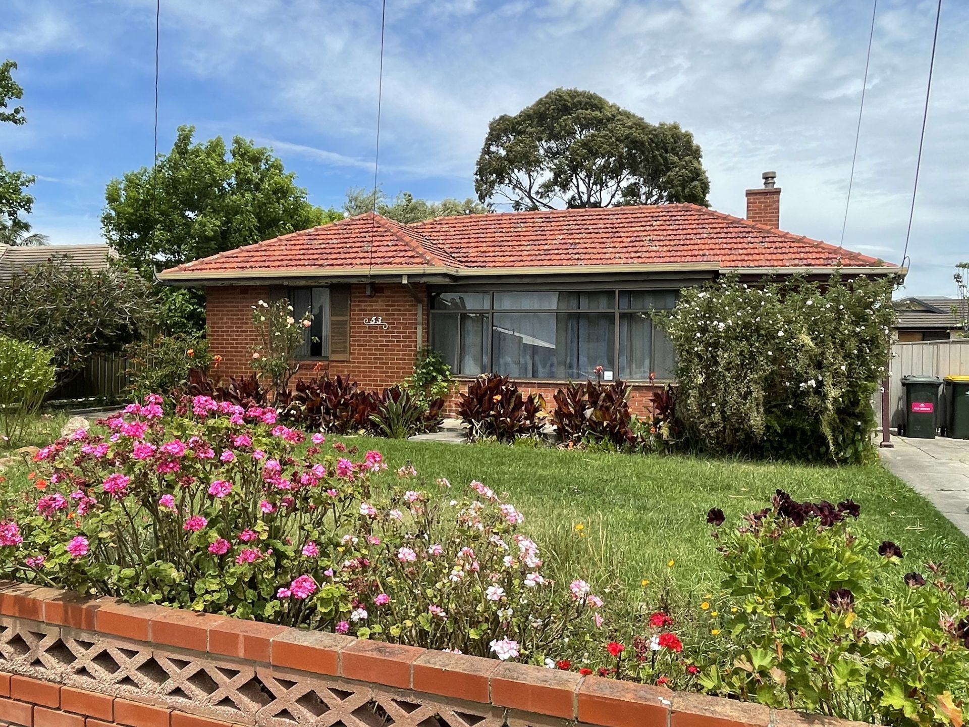 53 Paringa Avenue, Somerton Park Taplin Real Estate