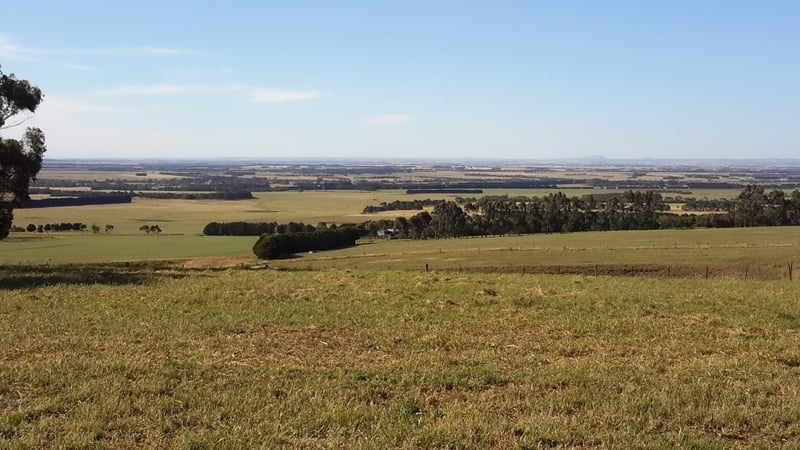 1130 Winchelsea-Deans Marsh Road BAMBRA VIC, Bambra - Thumbnail 6