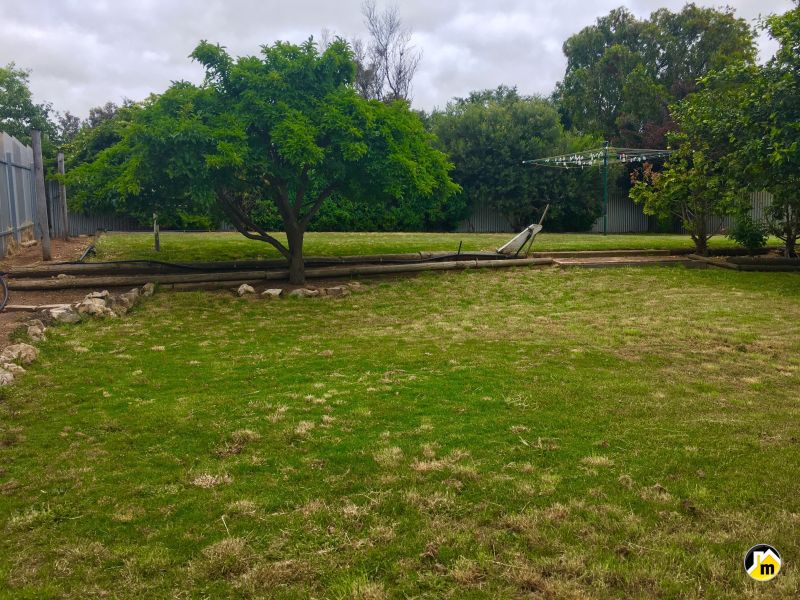 67 Williams Road Millicent SA