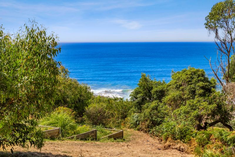 65 Morley Avenue, Wye River, VIC, Wye River - Thumbnail 3