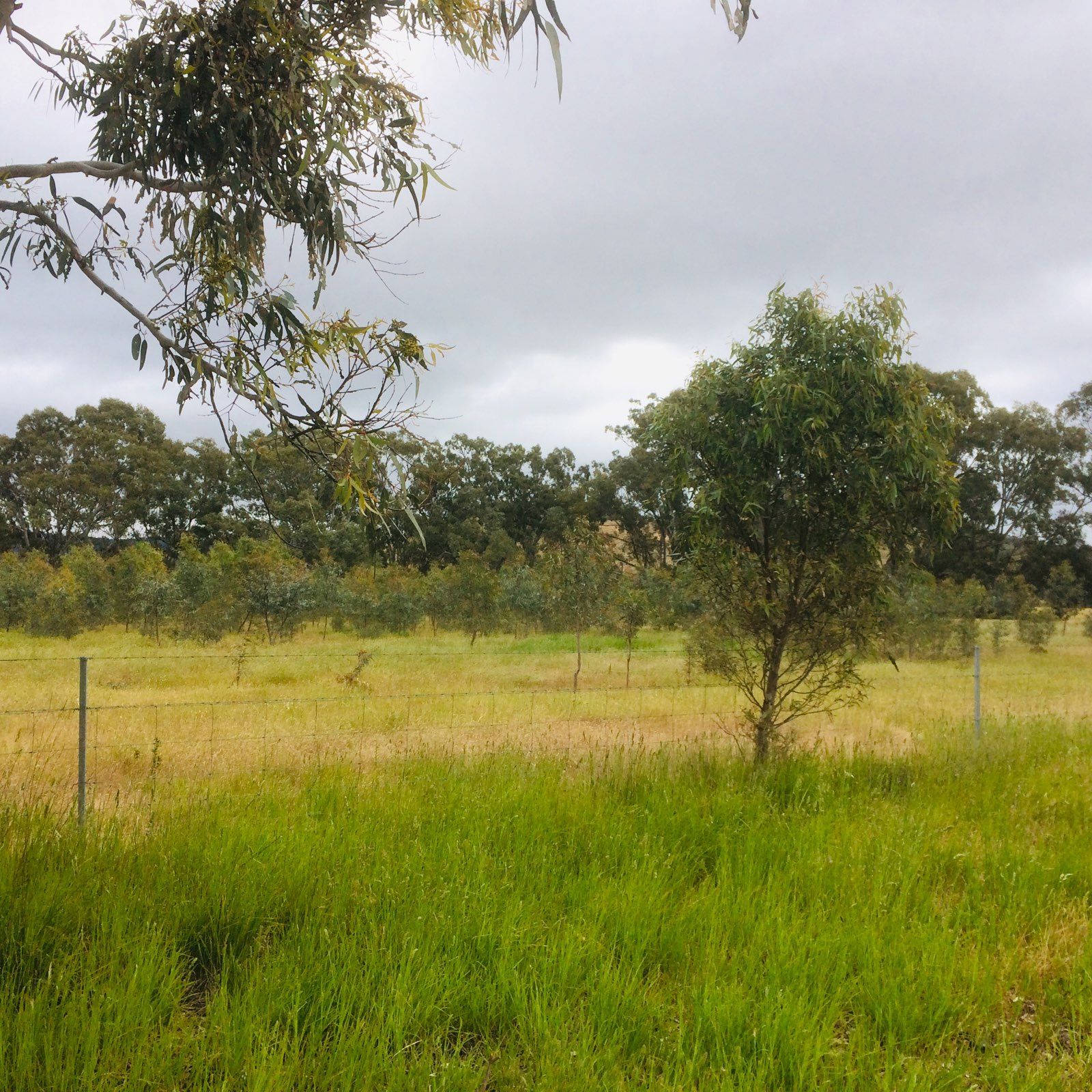 C/A 14/ Stony Crossing Road, Redbank VIC 3477