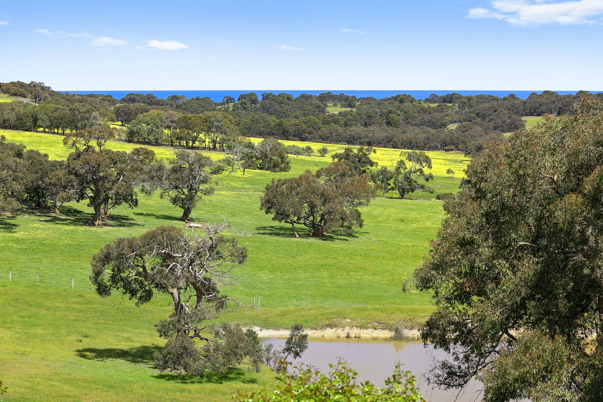 1005 Great Ocean Road, Bells Beach - Thumbnail 4