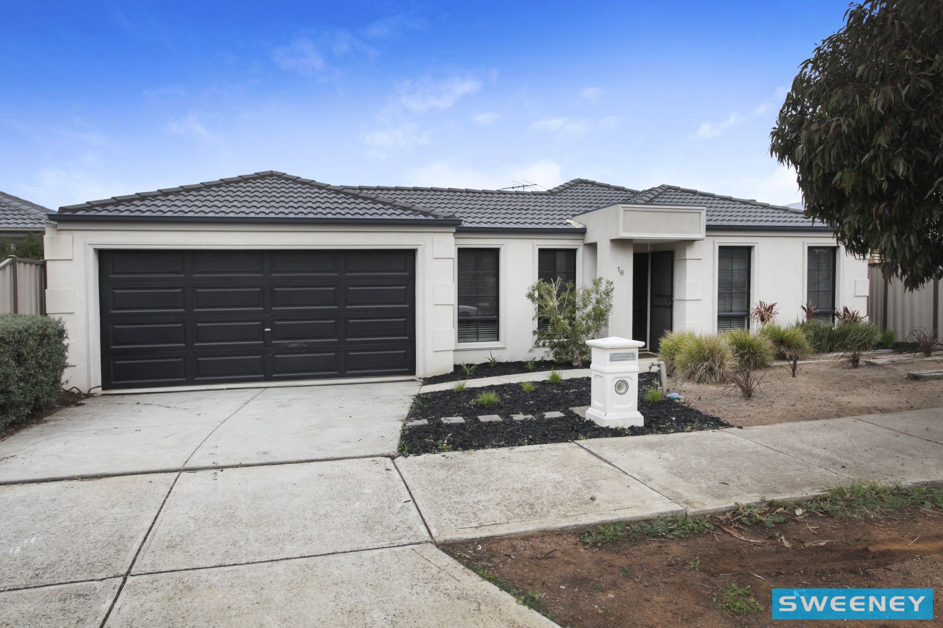 16 Lawson Place, Burnside Heights - Thumbnail 3