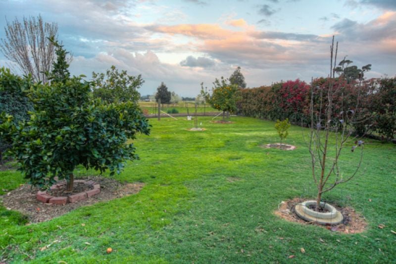 78 Tynan Road Table Top NSW, Table Top - Thumbnail 7