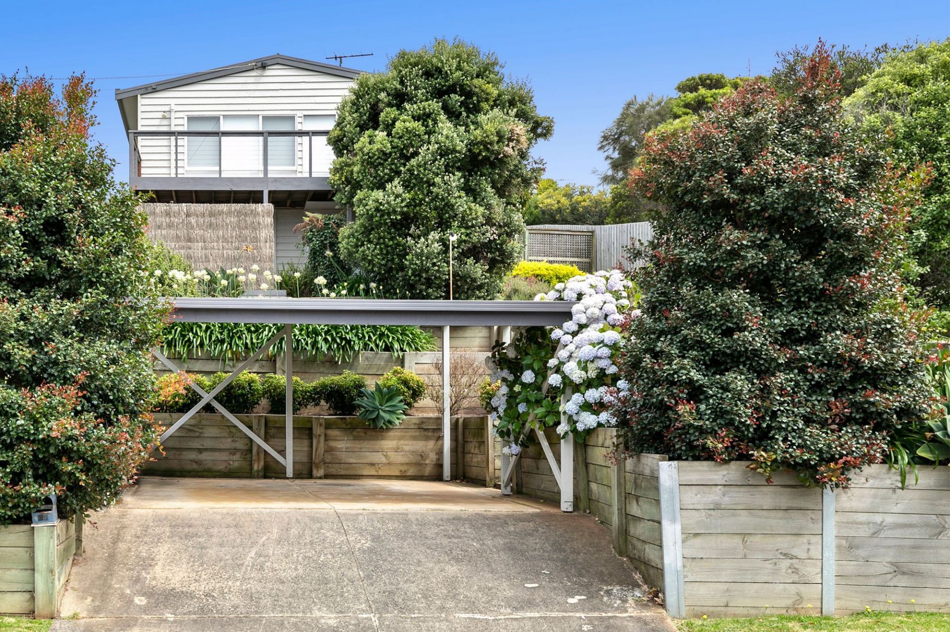 46 Sunset Strip Ocean Grove VIC, Ocean Grove - Thumbnail 2