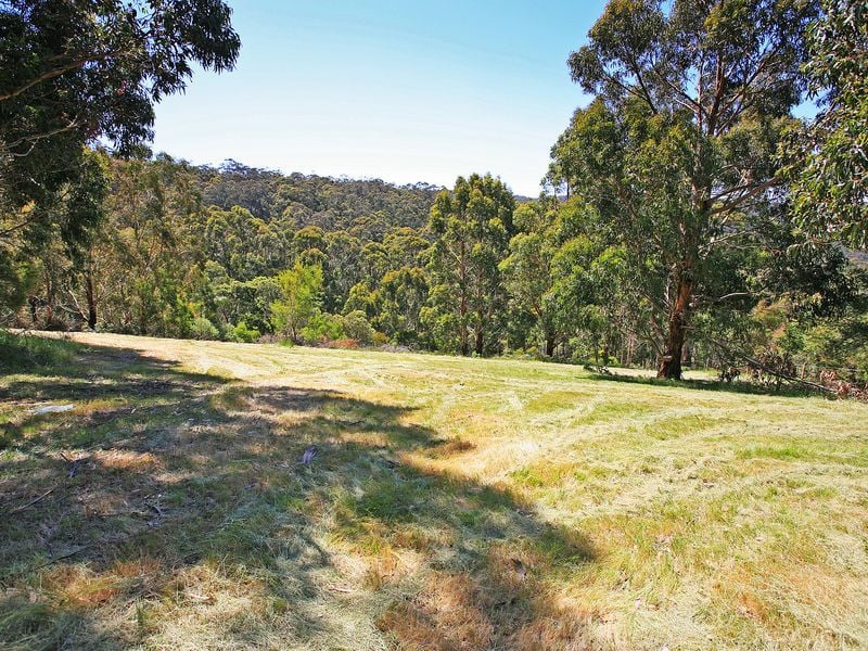 15 Cora Lynn Court, Lorne - Thumbnail 4
